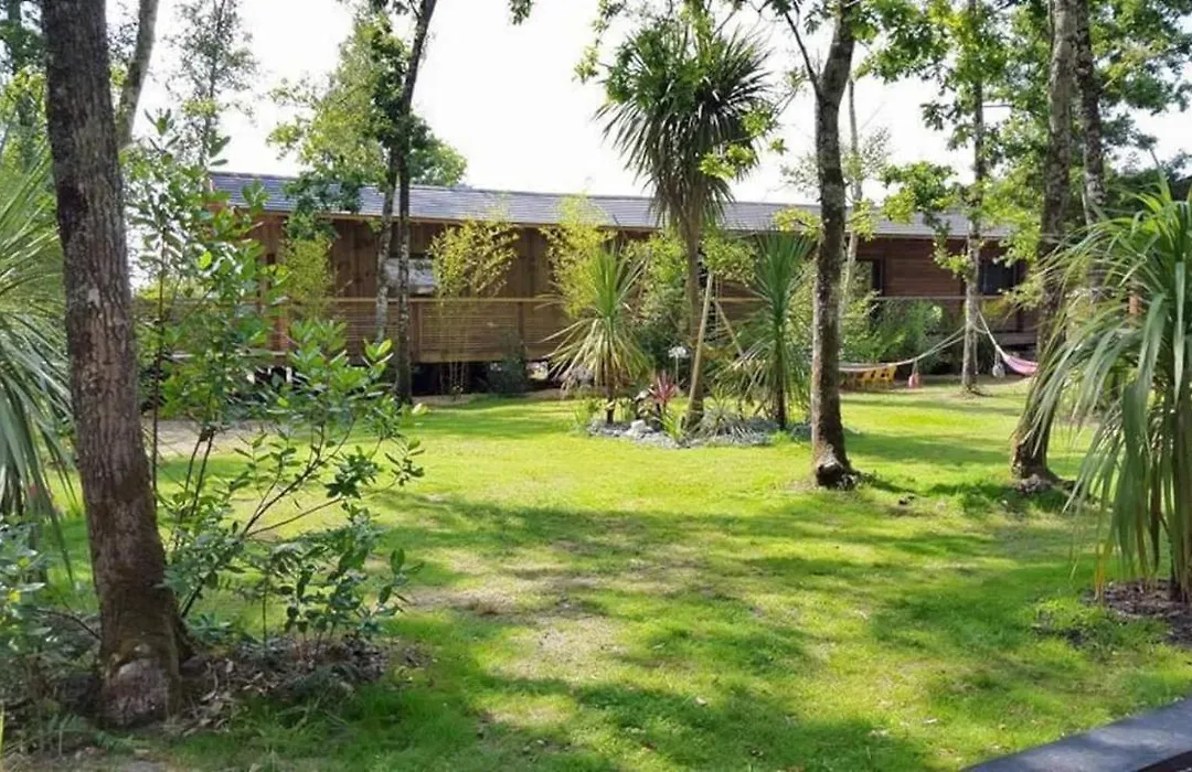 Le petit coin de paradis lacanau-1